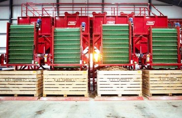Tong Implements Custom-built Grading Line at B&C Farming