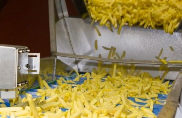 GEA Tests its Freezer Control System in French Fries Production