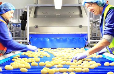 Manor Fresh Enters New Partnership to Boost Sustainability