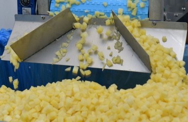 Swancote Foods Ups Quality and Safety with New X-Ray Machine