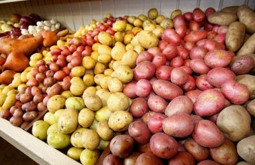 Domestic Potato Shortage Impacts Prices in Hungary