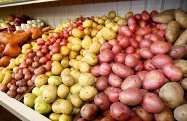 Bangladesh Market Affected by Low Exports