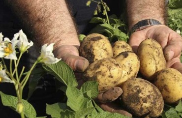 AHDB’s Storage Network Offers Support for Store Managers