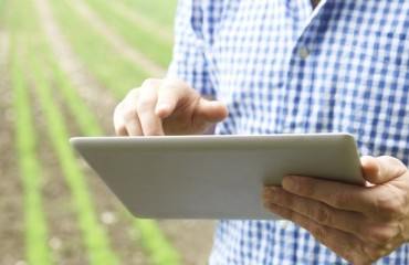 Punjab to Deploy Blockchain Traceability Solution for Potato Seeds
