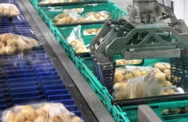 Brillopak Automates Packing Lines at Three Morrisons Facilities