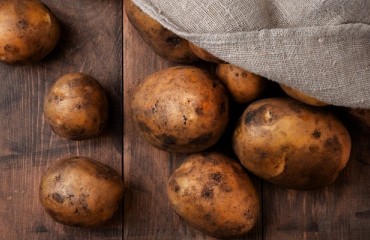 Martin Lishman Develops Damage Prevention Device for Potatoes