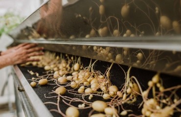 Agronico Undergoes Major Expansion