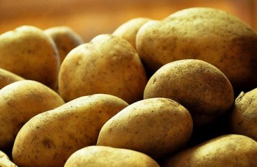 Western Australia Seeks to Improve Potato Export Rates