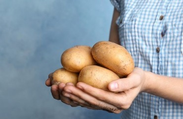 The Potato Remains the Top Vegetable of Choice in Latvia