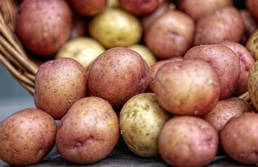 The US Celebrated National Potato Day on August 19