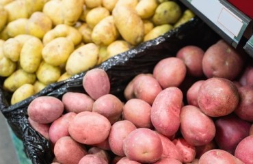 Potato Retail Market Sees Slight Increase in the U.S.