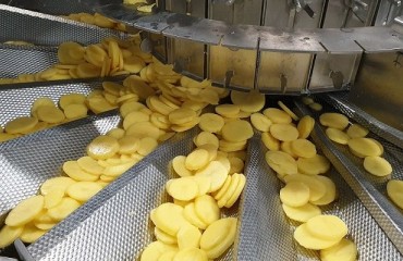 Kiremko Installs Complete Potato Processing Line in Russia