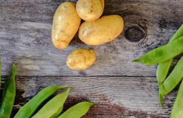 New Method Shows Whether Potatoes Are Organic or Not
