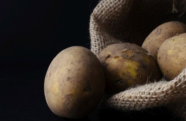 Potato Production in Northwestern Europe to Hit 27.3m in 2019 - NEPG