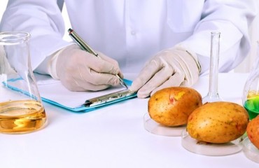 Maine Potato Sector Scores USD2.75m Funding for Research
