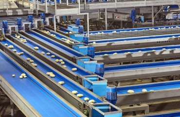 Haith Seeks to Patent New Method of Transferring Crops Between Conveyors