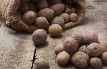 US-Japan Trade Deal - a Boon for the Potato Industry