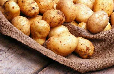 Belarus Seeks to Increase Potato Exports