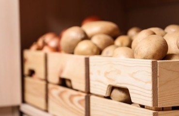 New Global Potato Trade Standards Come into Effect