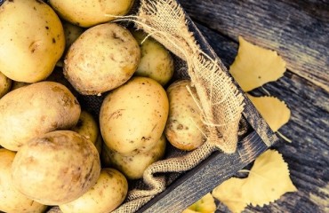 Dutch Potato Exports Drop 17% During Summer 2019