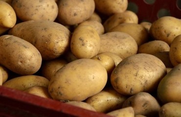 Belgapom Offers Guidance as CIPC Ban Looms
