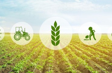 Simplot Signs Research Agreement to Boost Crop Sustainability