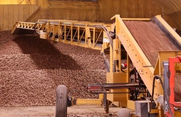 VAVI Warns Preparations for New Storage Regime Must Begin