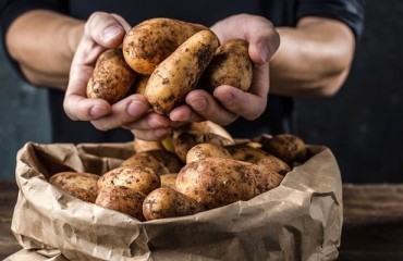 German Company Esterl & Loibl Joins Europatat
