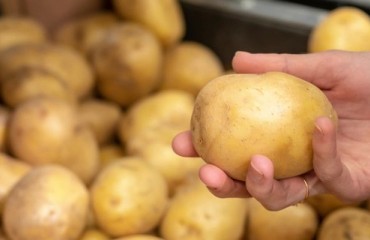 US Retail Potato Sales See Growth in Latest Quarter