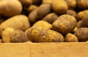 Crop Systems Updates SmartStor Controller