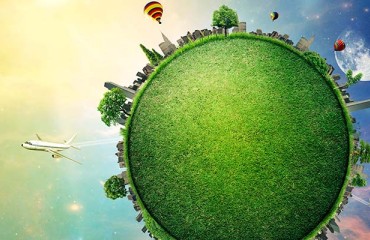 Working Towards a Sustainable Food System