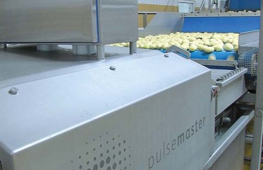 PEF Systems: A Cost-effective Processing Technology