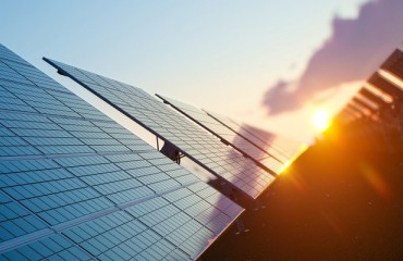 Researchers Use Solar Panels to Boost Sustainability of Potato Crops