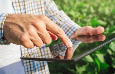 Going Digital to Fight Food Waste