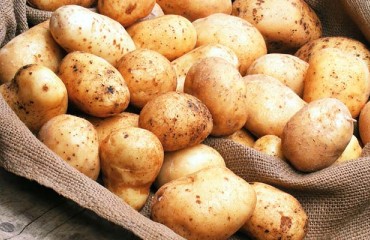 Fresh Potatoes to Be Included in US-China Trade Deal