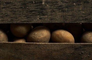 Belgapom Reveals Position on the Method for Storing the 2020 Harvest