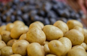 Namibia Seeks to Lower Reliance on Potato Imports
