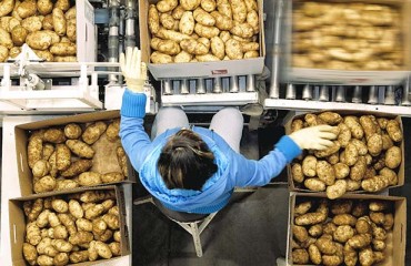 Storage Operators Must Find Alternatives for CIPC