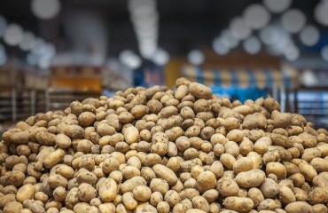 Iceland’s Trial to Reduce Plastic Packaging Includes Potatoes