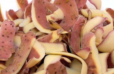 Turning Potato Waste into Profit in Australia
