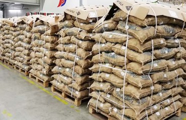 Moroccan Potatoes Start-Off Import Season in Netherlands