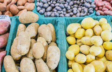 Demand Leads to Spike in Polish Potato Prices