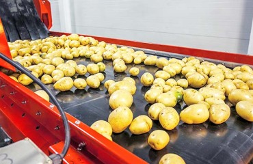 Optical Sorter Market Expected to Reach USD3bn by 2024