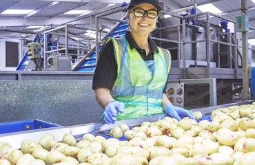 UK Potato Producer Offers Jobs During Crisis