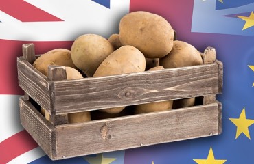 Europatat Members Concerned Over EU-UK Deal