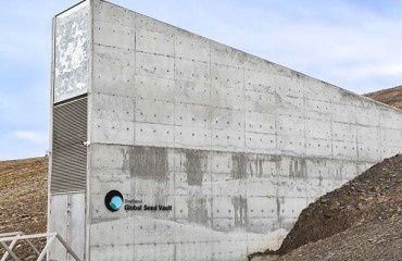 International Potato Center Deposits 60k Seeds in Global Vault