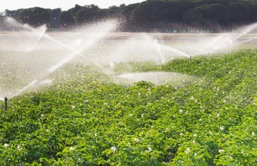 Researchers Use Infrared Imaging for More Efficient Water Use