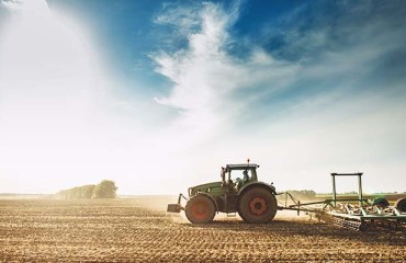 COVID-19's Domino Effect on the Potato Industry