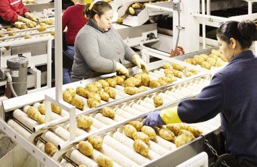 NAO Explores Solutions for Afflicted Dutch Processors