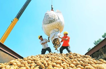 COVID-19: Potato Industry in Developing Countries Takes Softer Blow